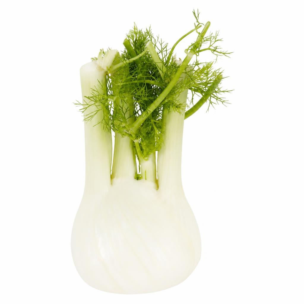 Tesco Fennel Each