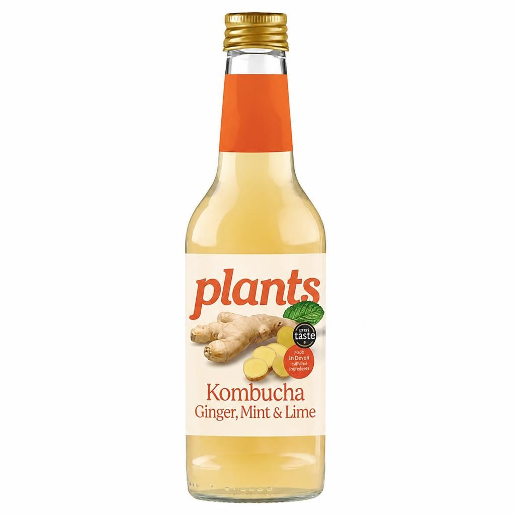 Plants Zesty Ginger, Lime & Mint Kombucha Sparkling Juice Drink