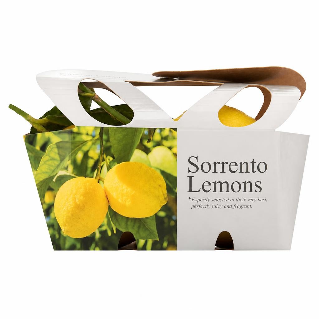 Tesco Finest Sorrento Lemons 2 Pack