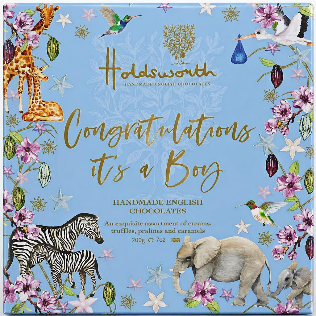 Holdsworth Chocolates Its A Boy | 200g