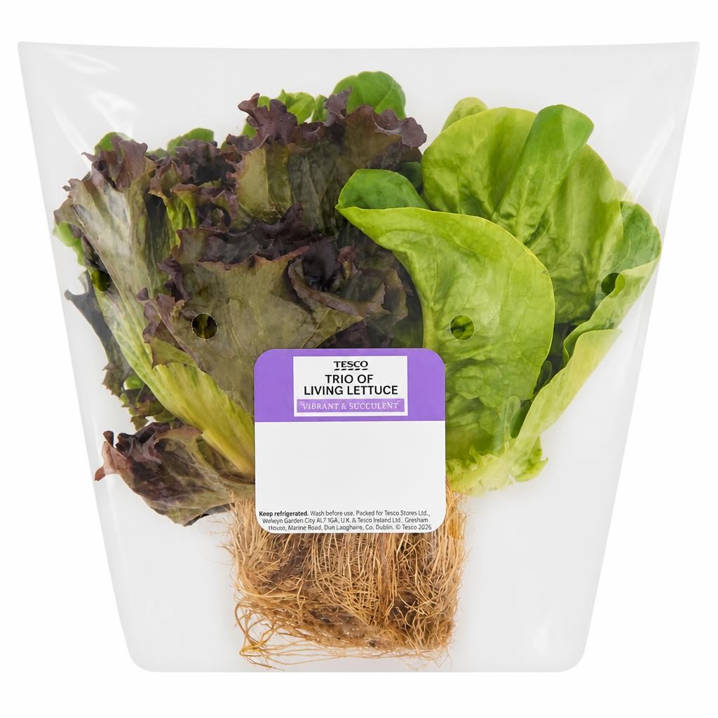Tesco Trio of Living Lettuce