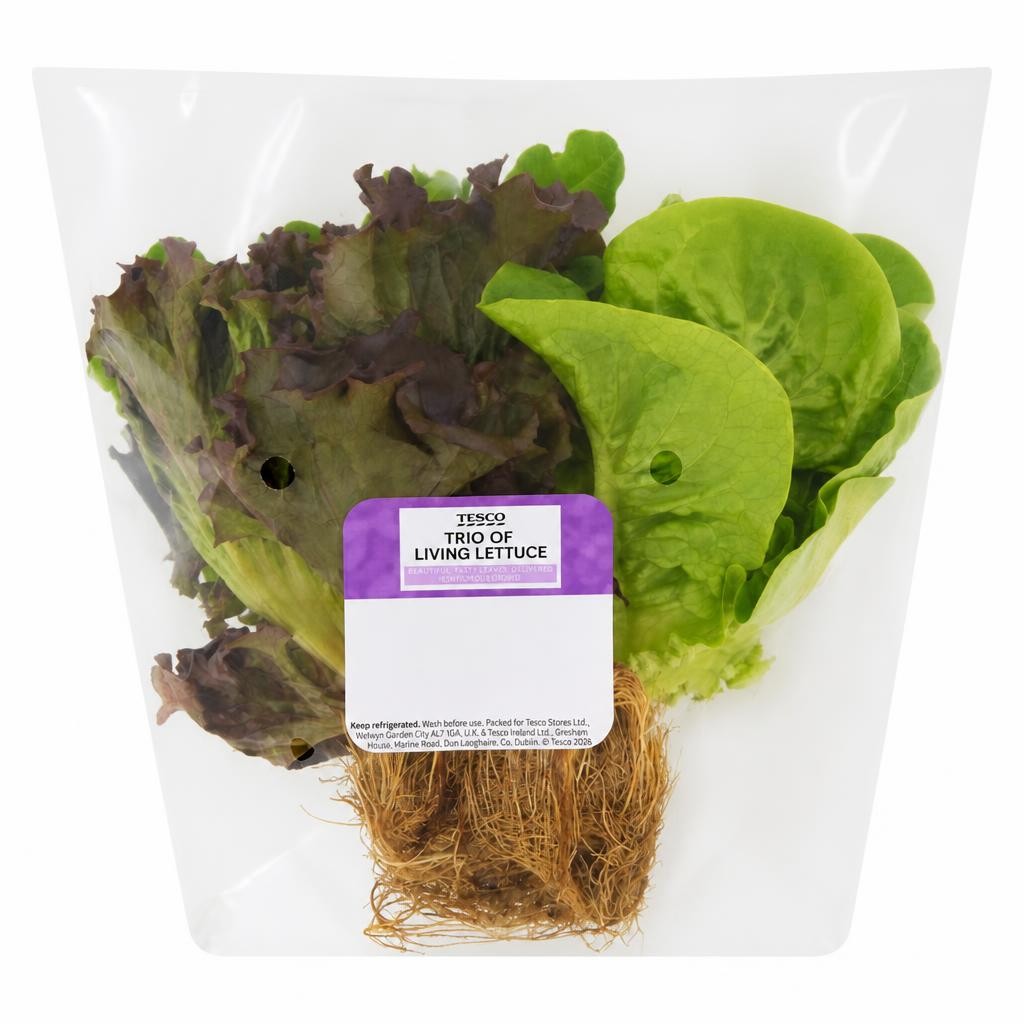 Tesco Trio of Living Lettuce