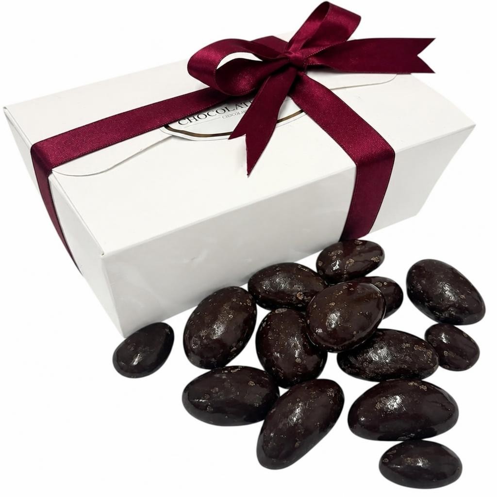 The Chocolate Source Dark chocolate covered Brazil nuts 1kg