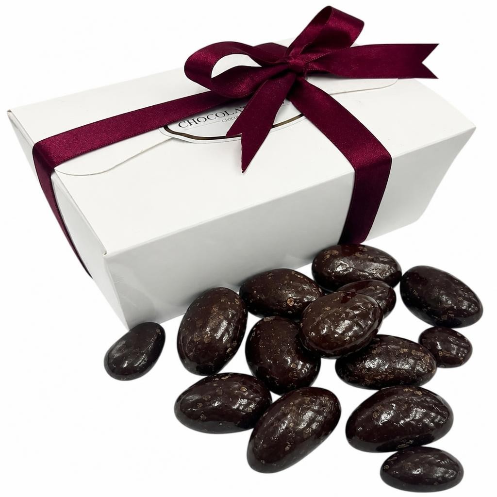 The Chocolate Source Dark chocolate covered Brazil nuts 250g
