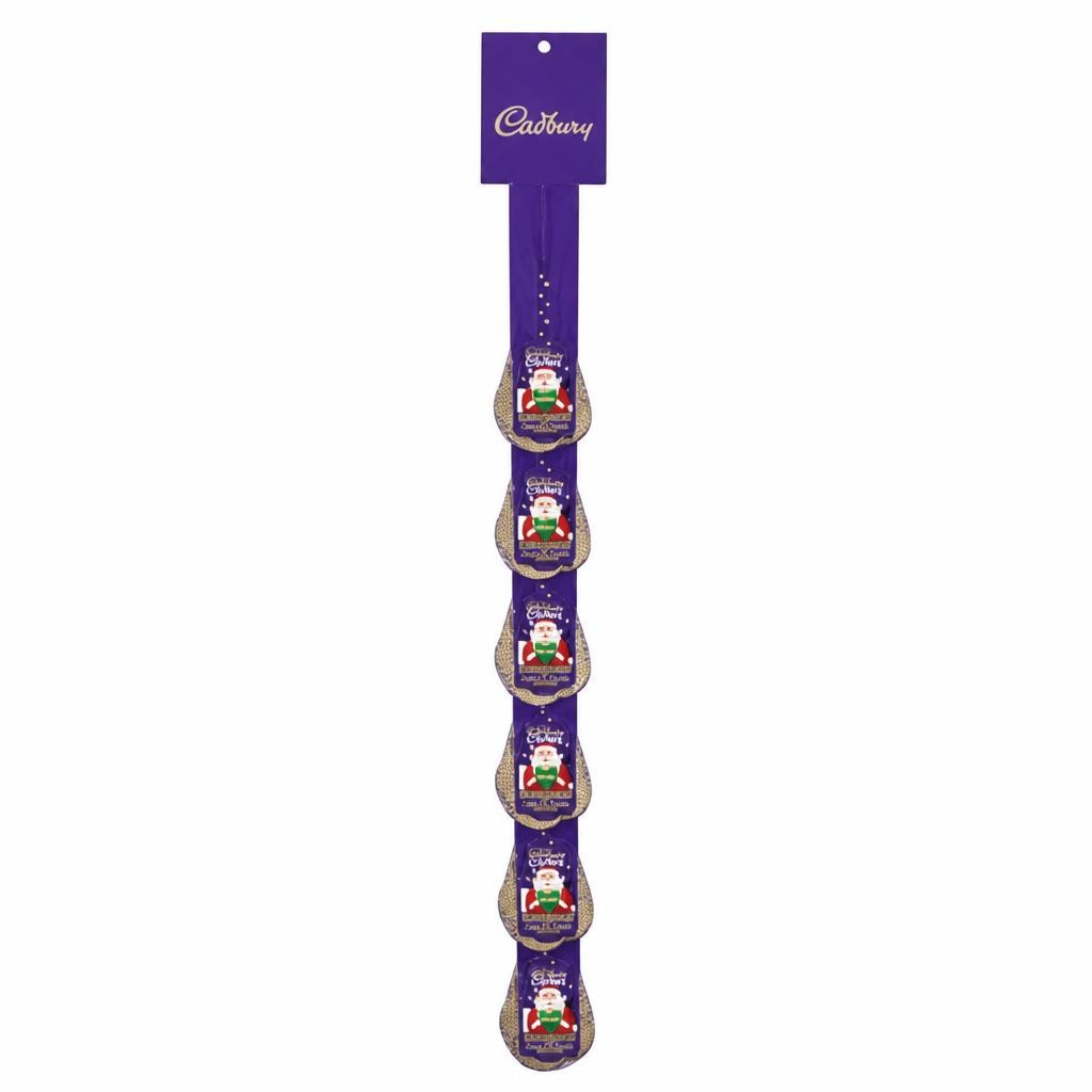 Cadbury Dairy Milk Chocolate Coins