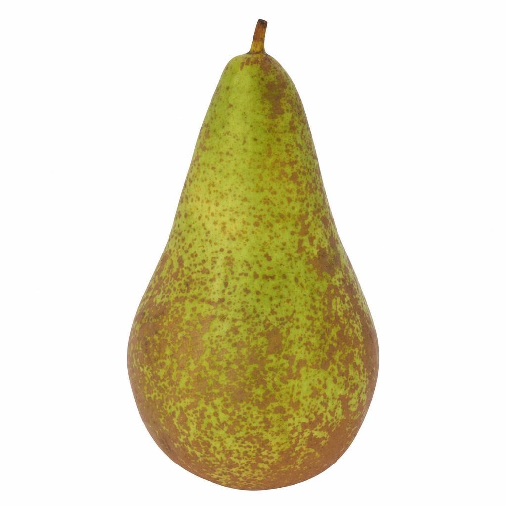 Large Conference Pears Class 1 Loose