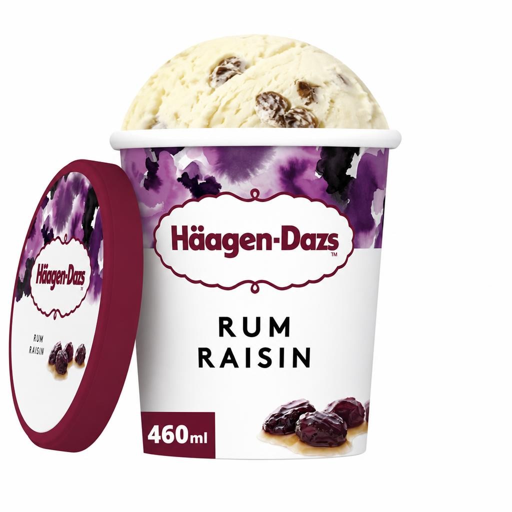 Haagen-Dazs Rum Raisin Ice Cream 460ml