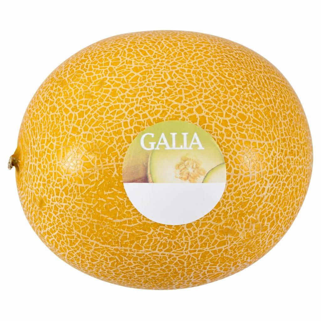 Tesco Galia Melon Each