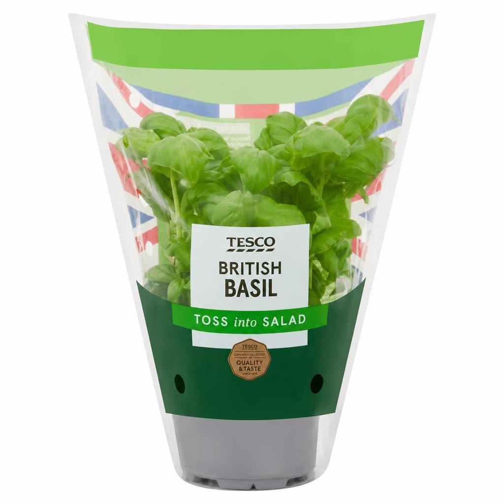 Tesco Basil Medium Pot