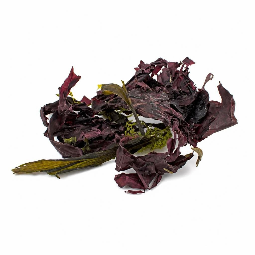 Organic Sea Salad 100g (Sussex Wholefoods) | Multi