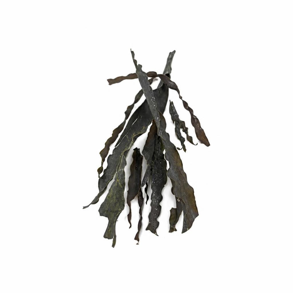 Organic Kombu Seaweed 100g (Sussex Wholefoods) | Multi
