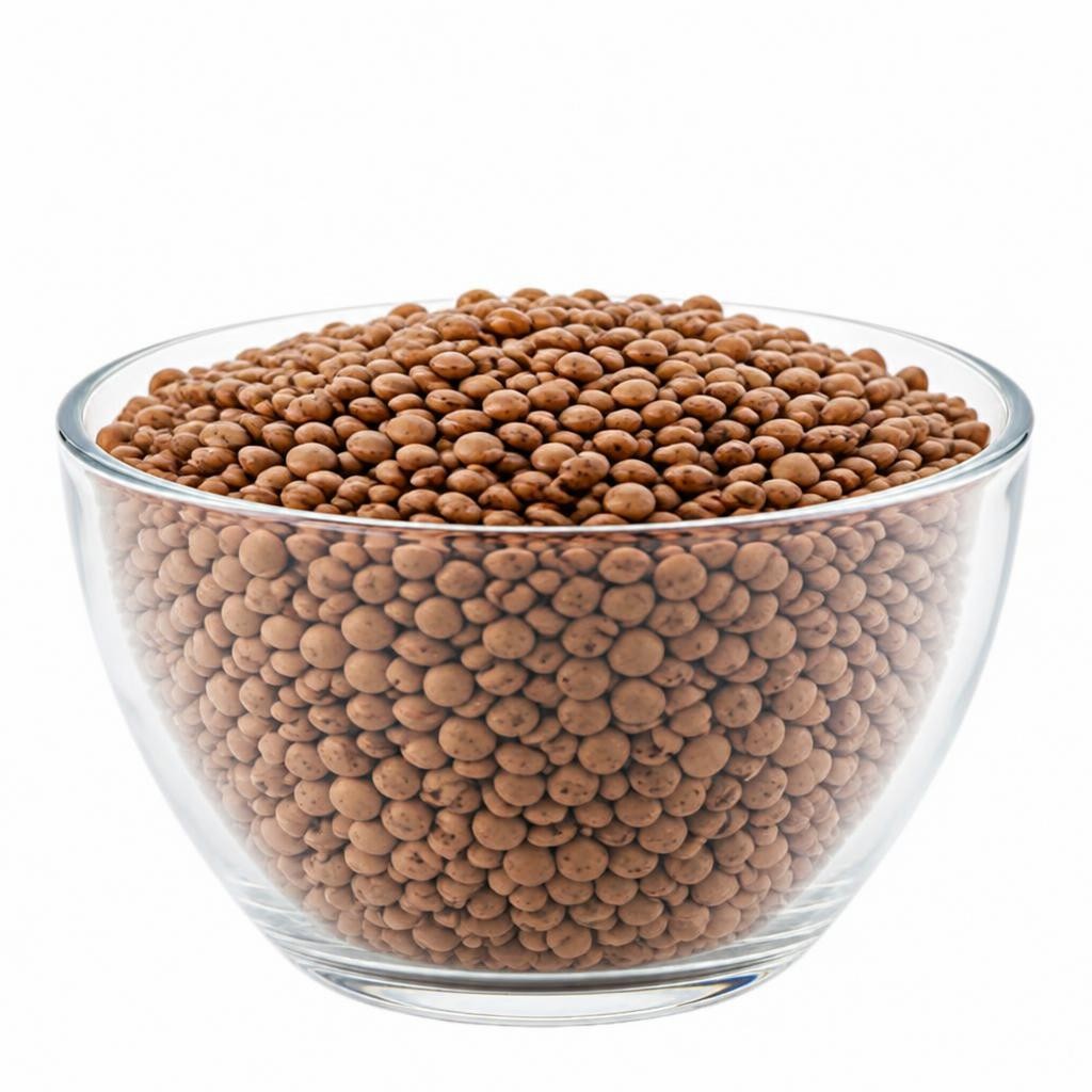 Organic Brown Lentils 500g (Sussex Wholefoods) | Multi