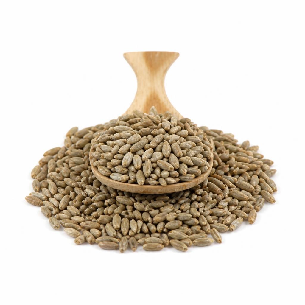 Organic Rye Grain 500g (Sussex Wholefoods) | Multi