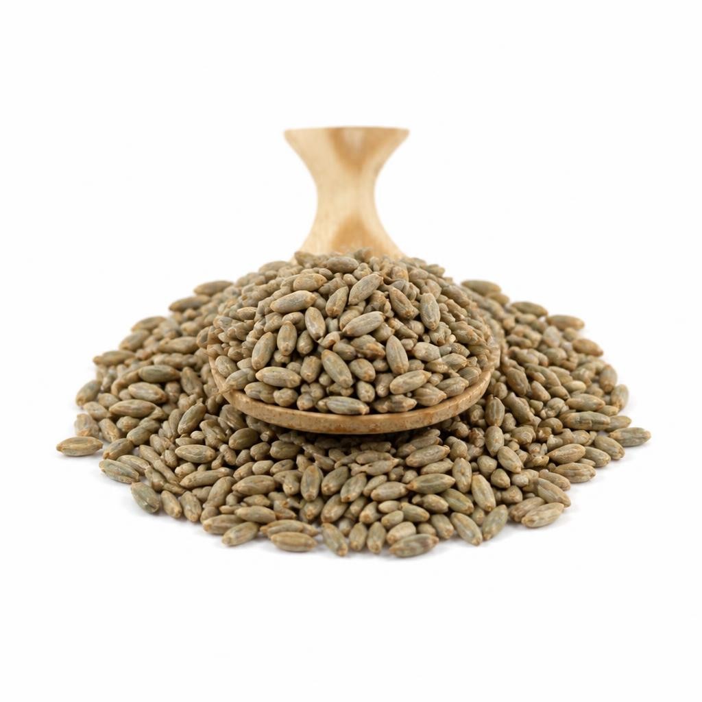 Organic Rye Grain 500g (Sussex Wholefoods) | Multi