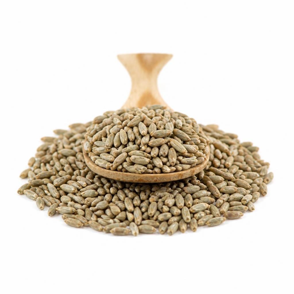 Organic Rye Grain 500g (Sussex Wholefoods) | Multi