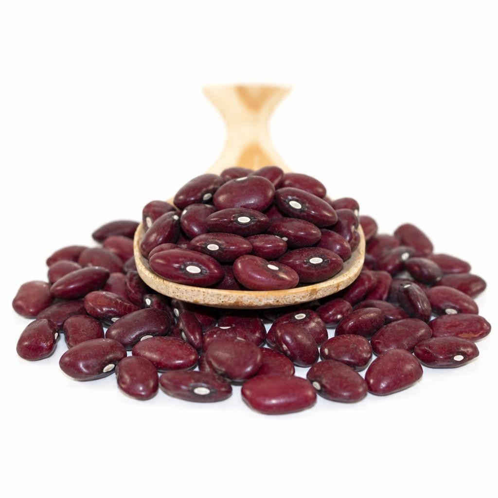 Organic Red Kidney Beans 500g (Sussex Wholefoods) | Multi