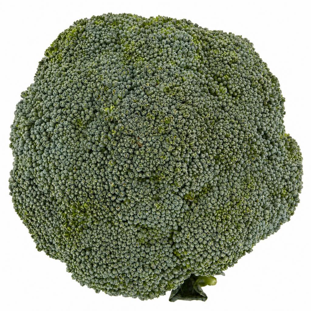 Tesco Large Broccoli Pack 500G