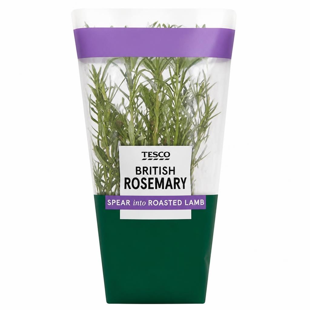 Tesco British Rosemary Medium Pot Each