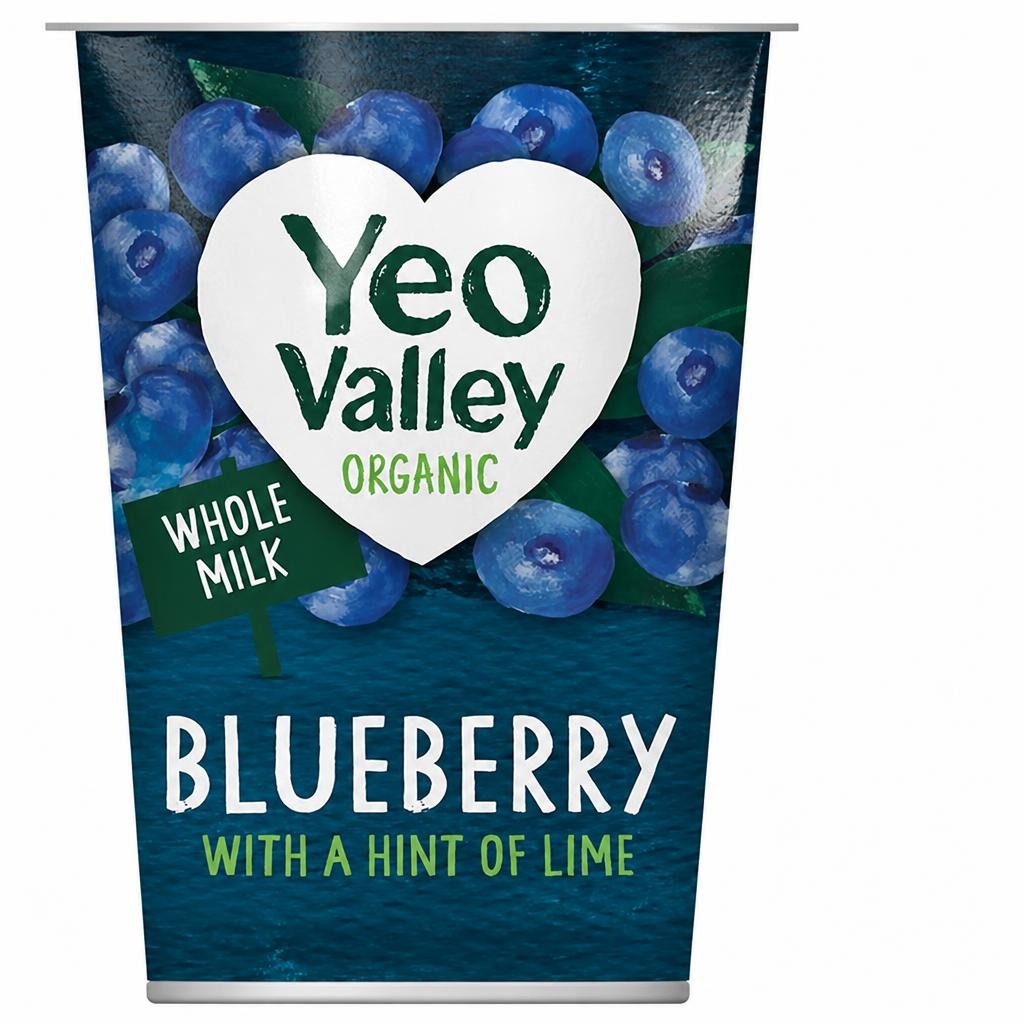 Yeo Valley Organic Blueberry & Lime Yogurt 450g