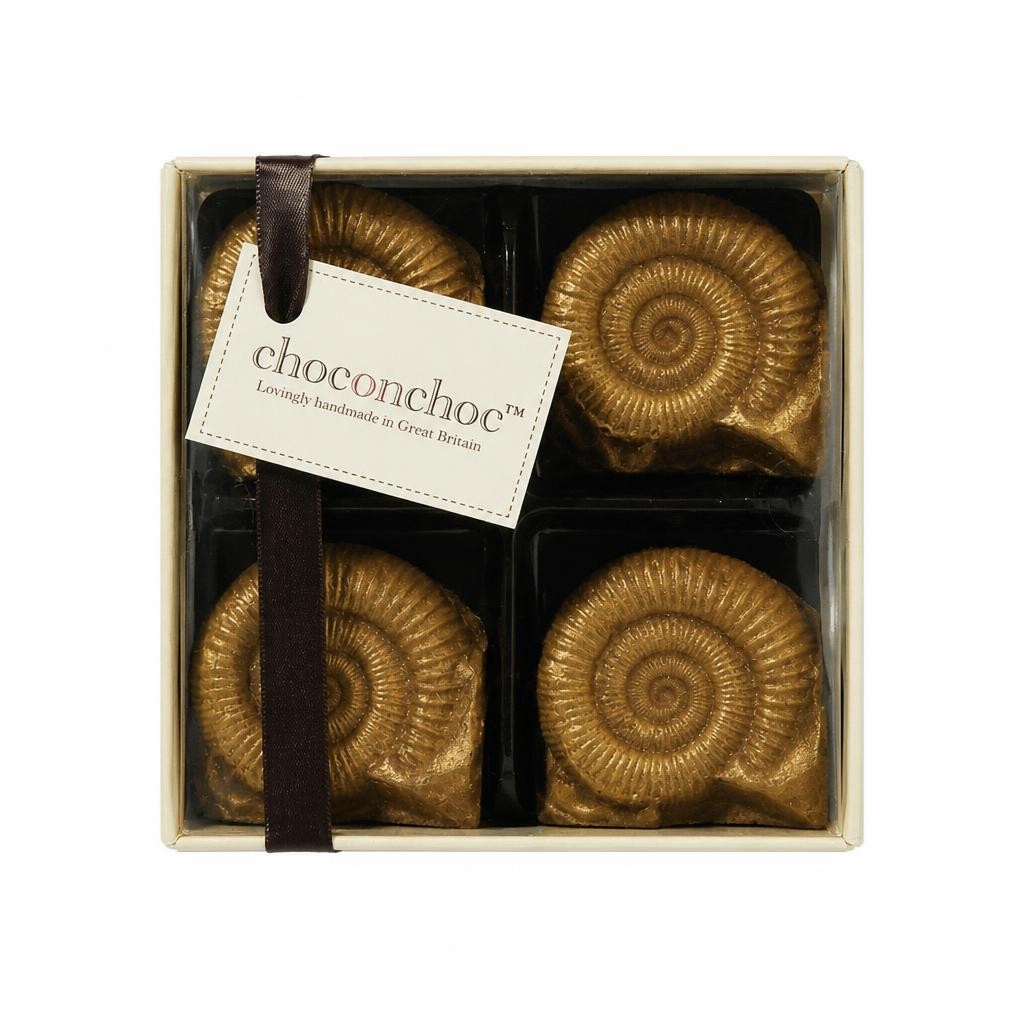 Chocolate Fossils