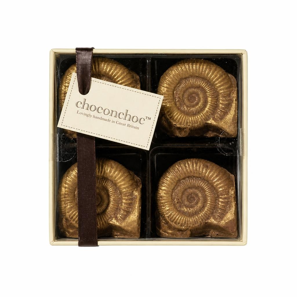 Chocolate Fossils