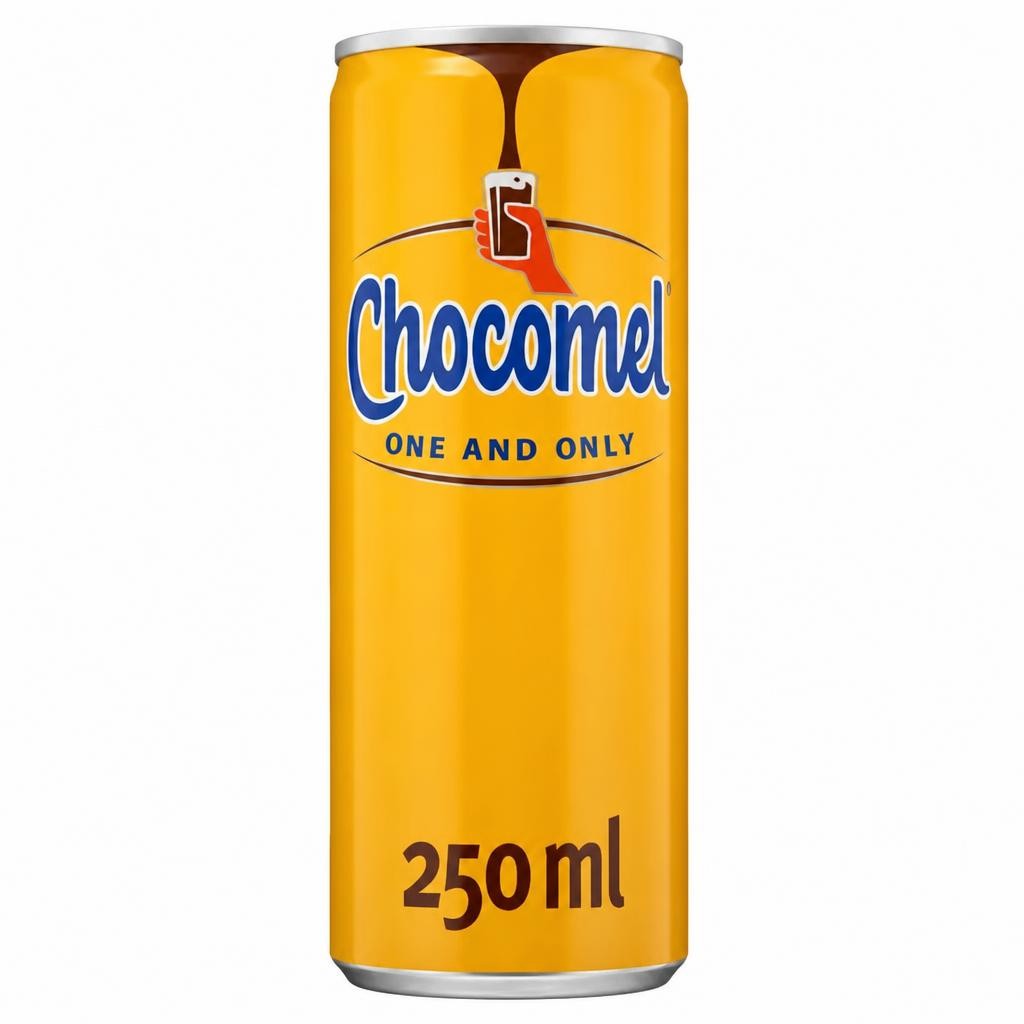 Chocomel Chocolate Milk 250ml