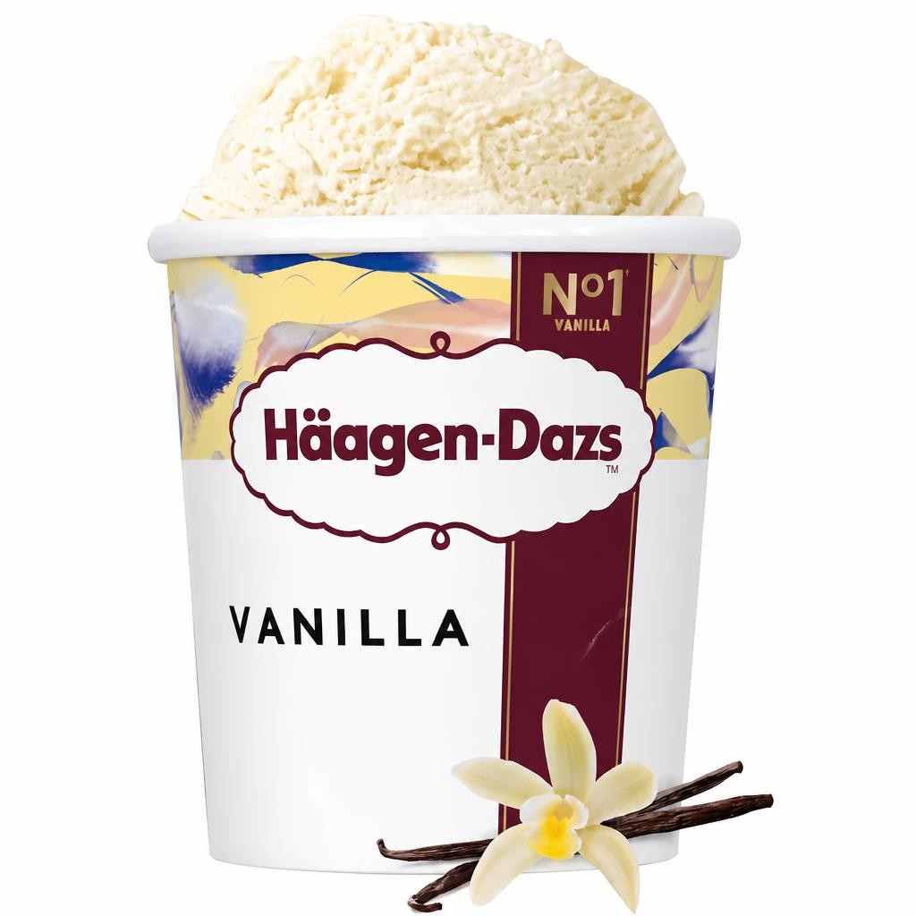 Haagen-Dazs Vanilla Ice Cream 460Ml