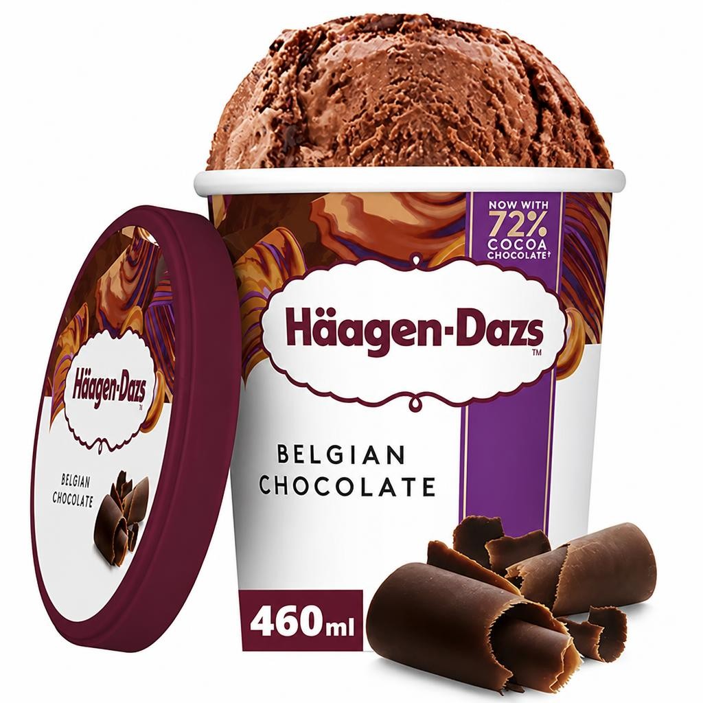 Haagen-Dazs Belgian Chocolate Ice Cream 460Ml