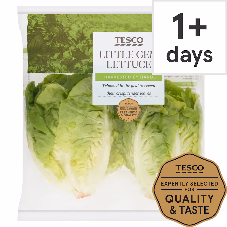 Tesco Little Gem Lettuce Twin Pack