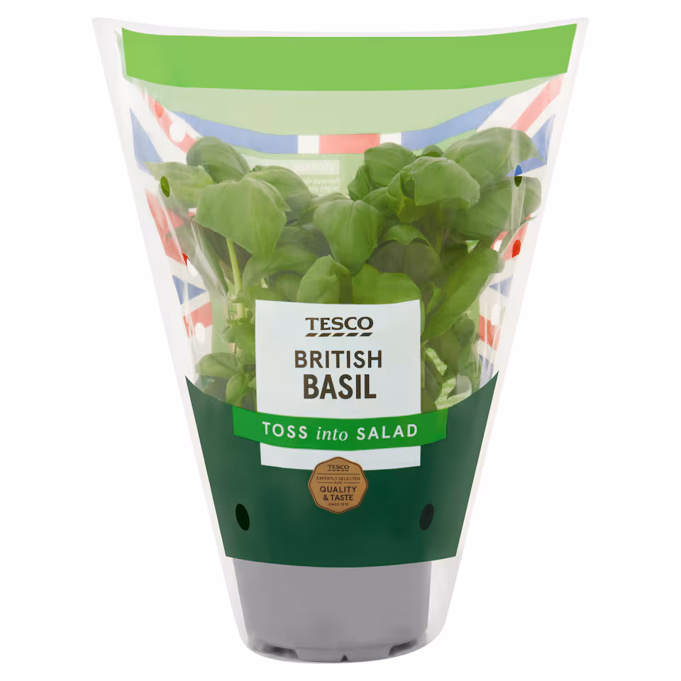 Tesco Basil Medium Pot