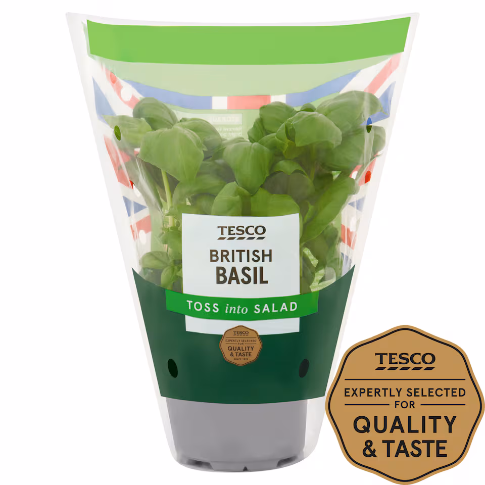 Tesco Basil Medium Pot