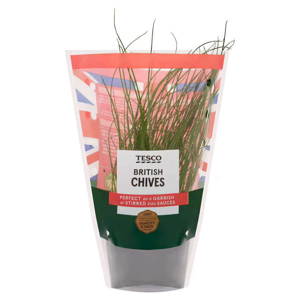 Tesco Bulb Chives Medium Pot