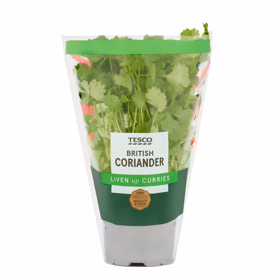 Tesco Coriander Medium Pot