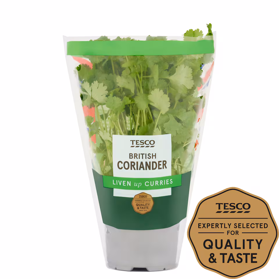 Tesco Coriander Medium Pot