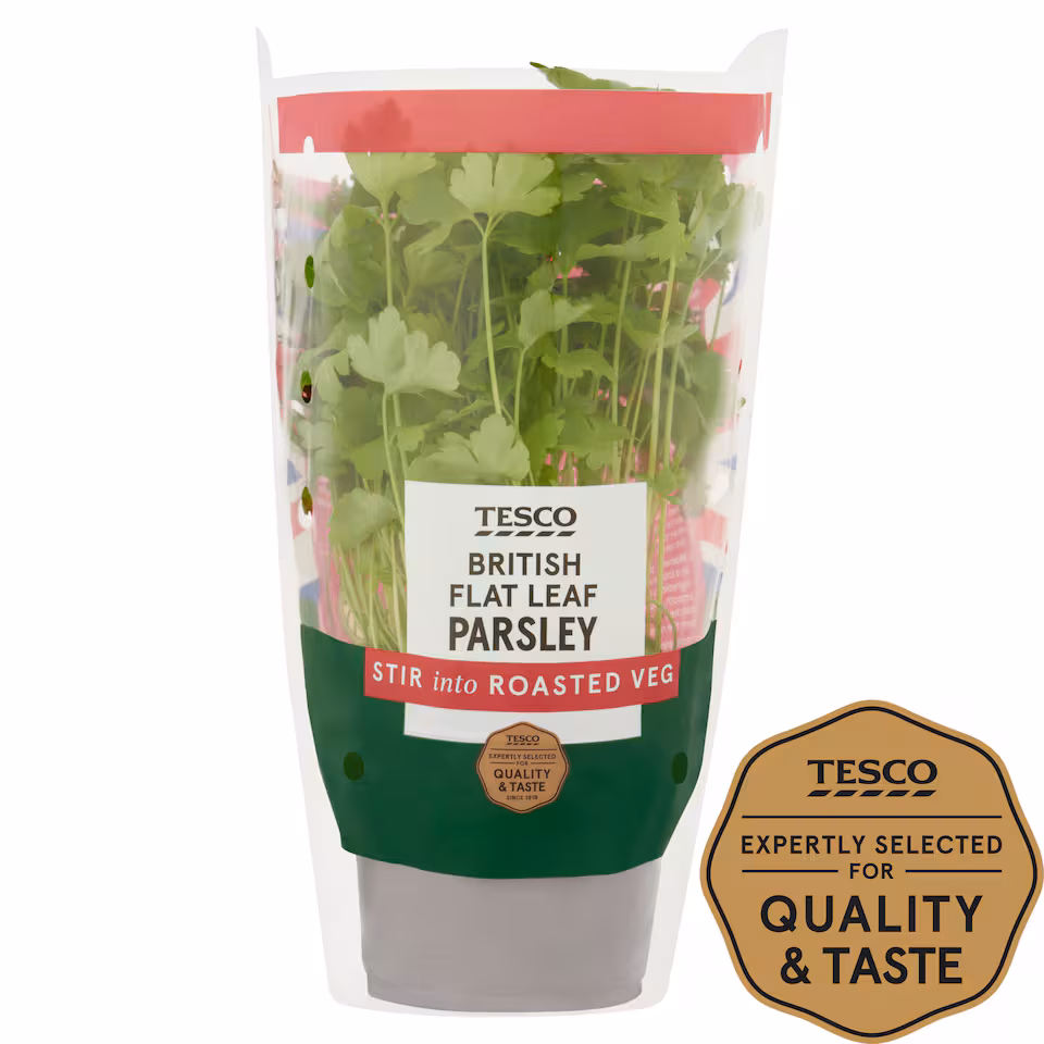 Tesco Flat Leaf Parsley Medium Pot