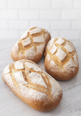 Deigemne Landbrød Lys 600gx17stk Lantmännen Unibake