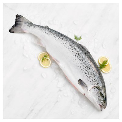 Medium Fresh Whole Scottish Salmon