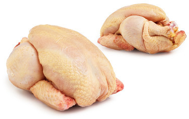 Vårkylling Gul Ca 500g St Sever