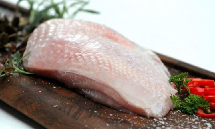 Kalkunbryst Black Turkey Økol Ca600g