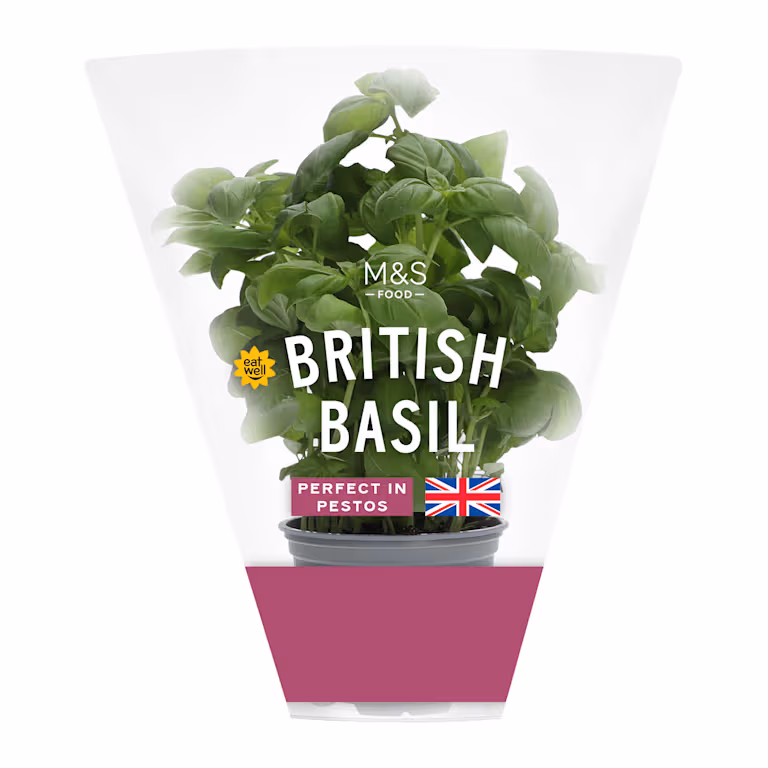M&S British Basil