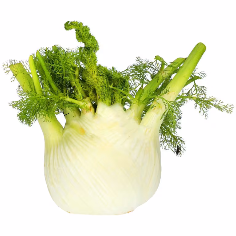 M&S Distinctive Fennel