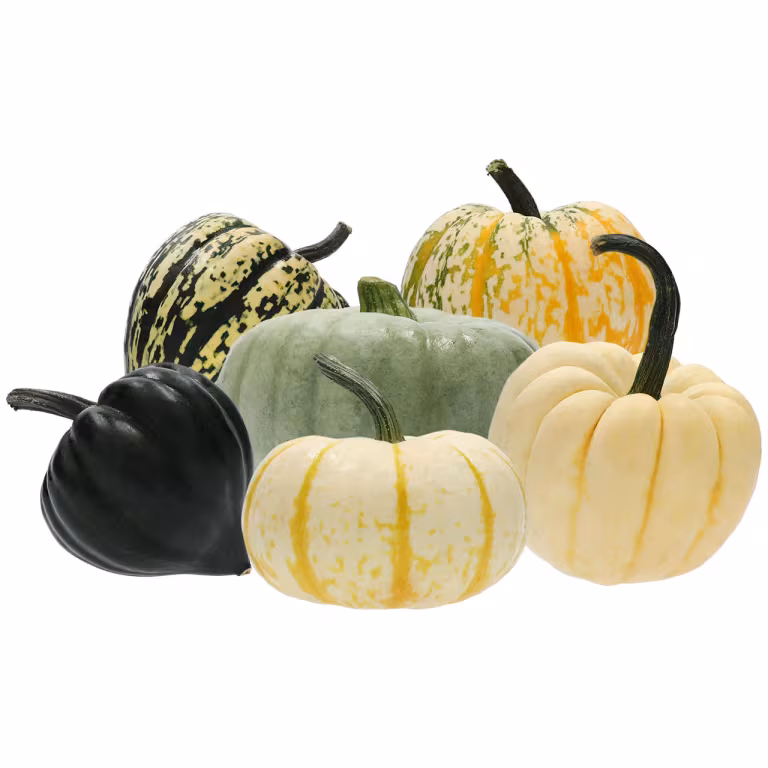 M&S Mixed Squash