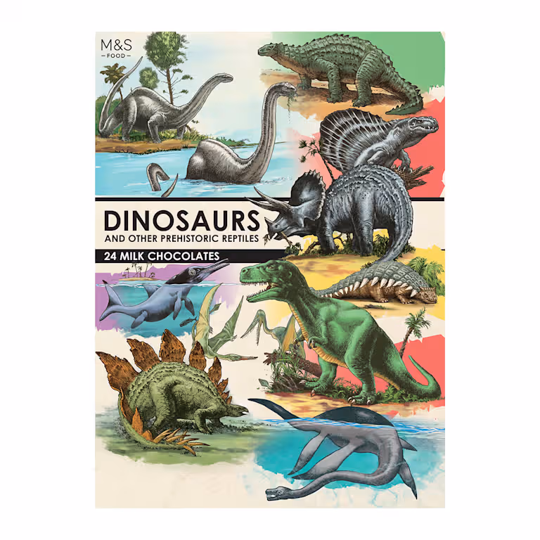 M&S Dinosaurs Advent Calendar