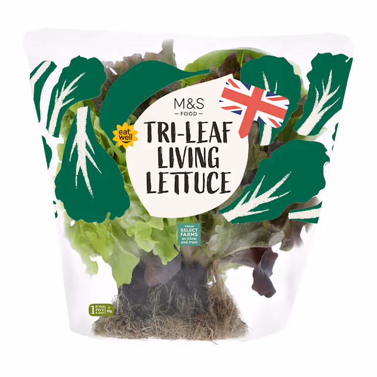 M&S Tri Leaf Living Lettuce