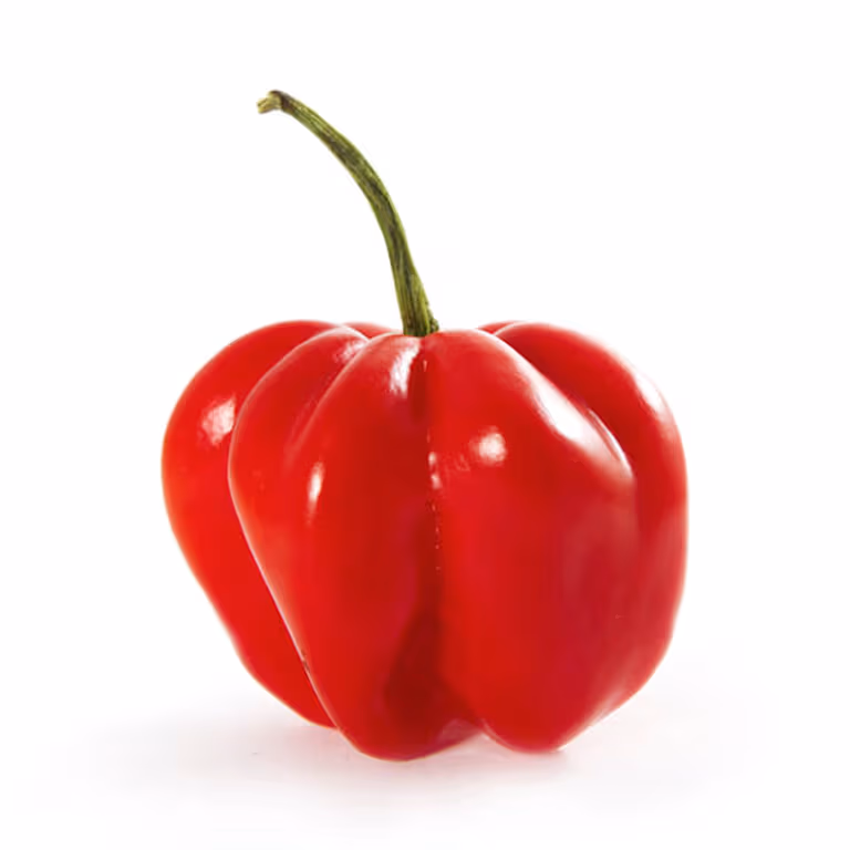 M&S Scotch Bonnet Chillies