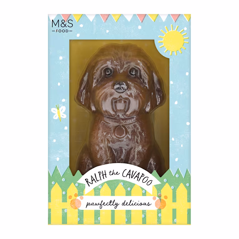 M&S Ralph the Cavapoo