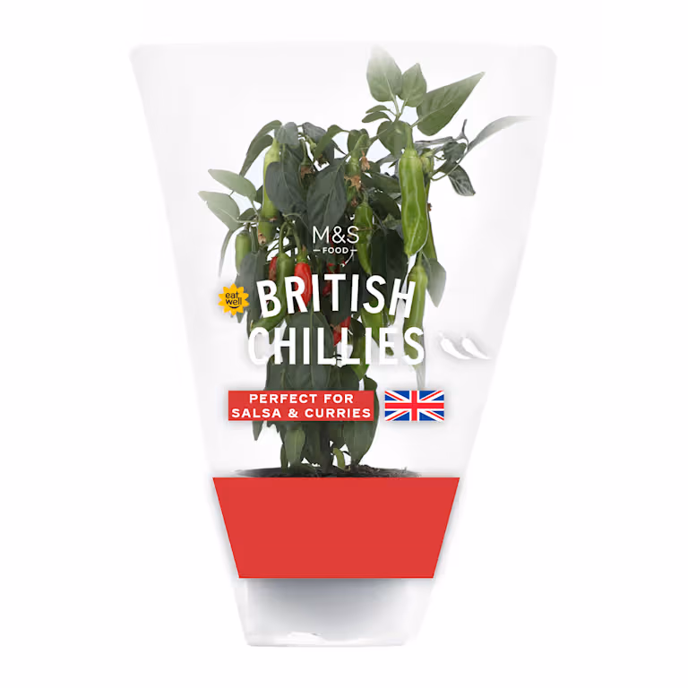 M&S British Chillies