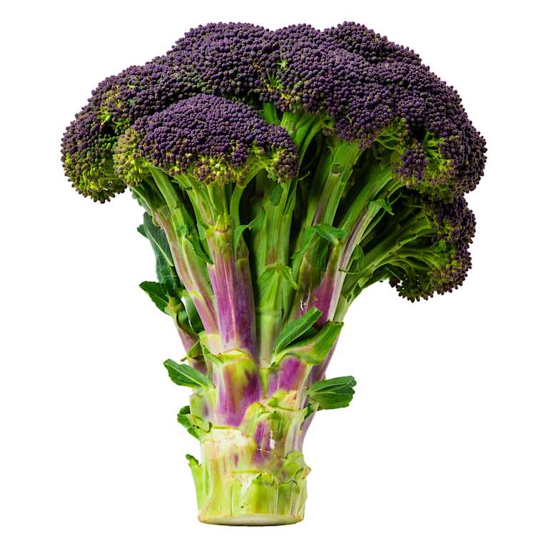 M&S Purple Broccoli