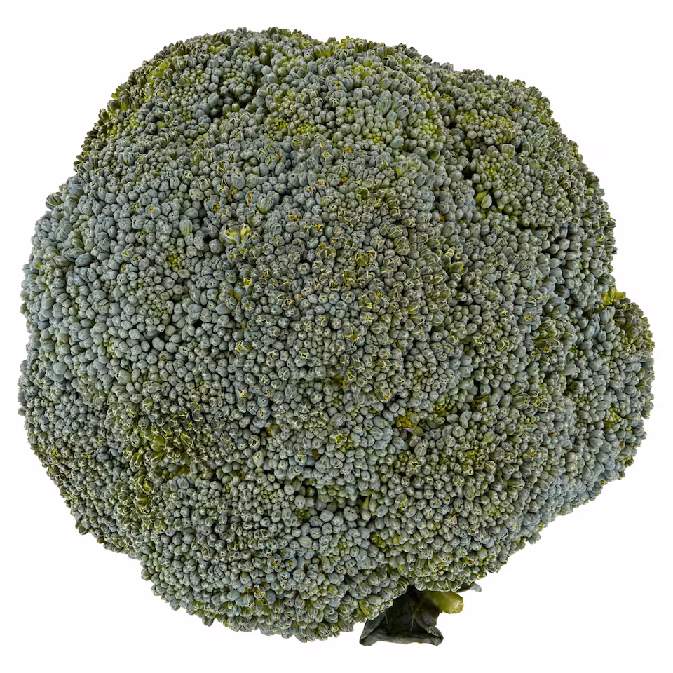 Tesco Large Broccoli Pack 500G