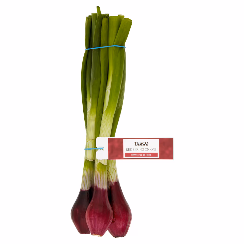 Tesco Red Spring Onions 120G